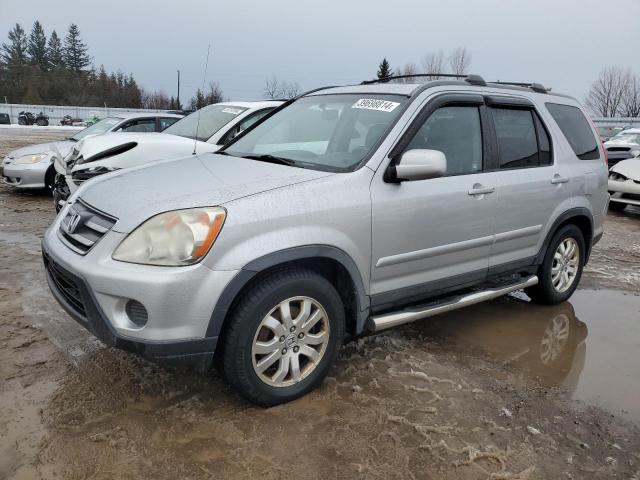 2006 Honda Cr-V Se VIN: JHLRD78926C807024 Lot: 39698814