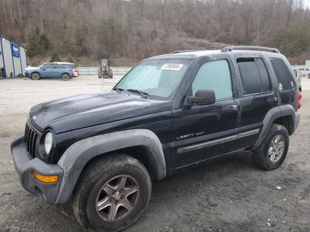 2002 Jeep Liberty Sport