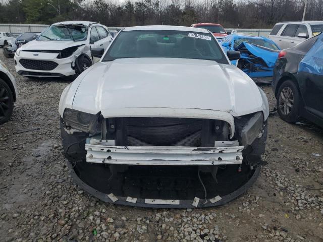 1ZVBP8AM4E5319221 | 2014 FORD MUSTANG