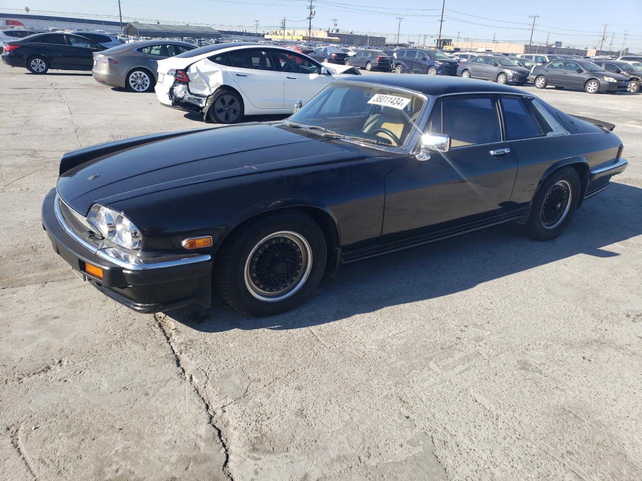 SAJNV5841FC117669 1985 Jaguar Xjs