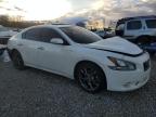 NISSAN MAXIMA S photo