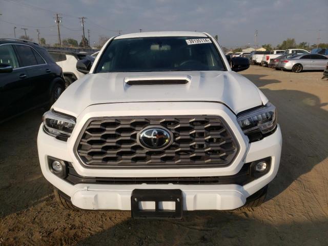 2023 TOYOTA TACOMA DOU 3TMCZ5AN4PM545331