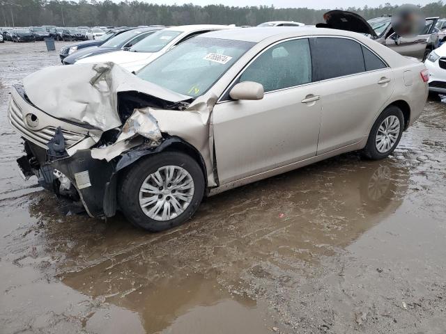Lot #2443472715 2009 TOYOTA CAMRY BASE salvage car