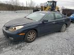 Lot #3025173204 2004 LEXUS ES 330