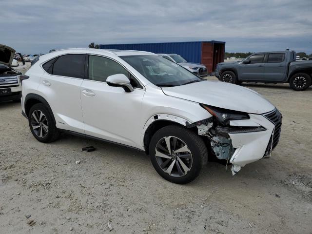 2020 LEXUS NX 300H JTJGJRDZ8L5003001