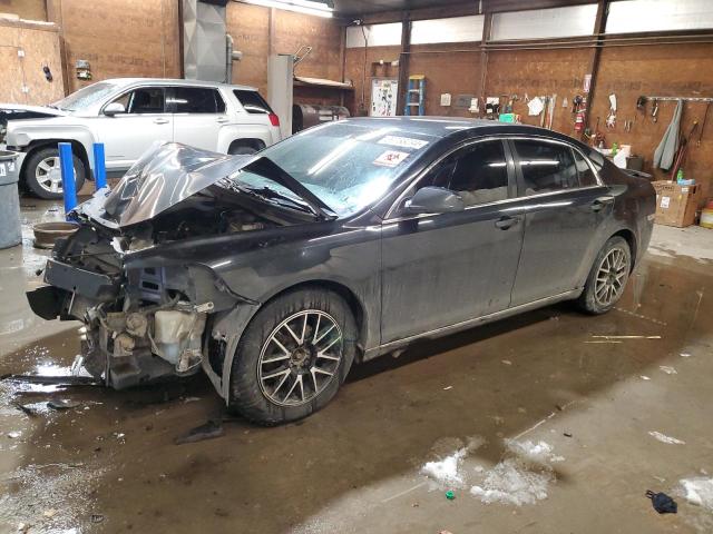 Lot #2421371135 2010 CHEVROLET MALIBU 1LT salvage car