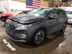 2020 HYUNDAI SANTA FE L - 5NMS5CAA8LH257754