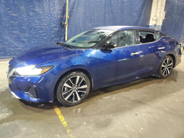 2023 Nissan Maxima Sv 3.5L(VIN: 1N4AA6CV3PC508635