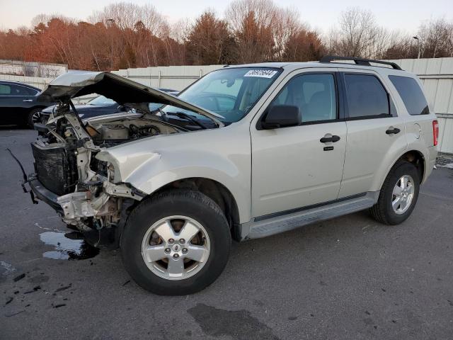 2009 Ford Escape XLT