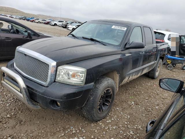 Lot #2388439296 2005 DODGE DAKOTA QUA salvage car