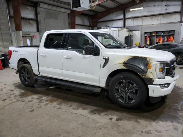 1FTEW1C59PFB19755 | 2023 FORD F150 SUPER