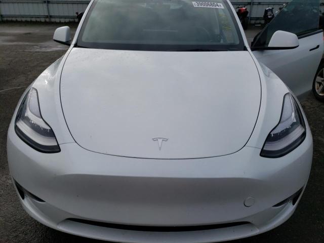 7SAYGDEE7PF591632 | 2023 TESLA MODEL Y