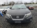 LEXUS RX 350 photo