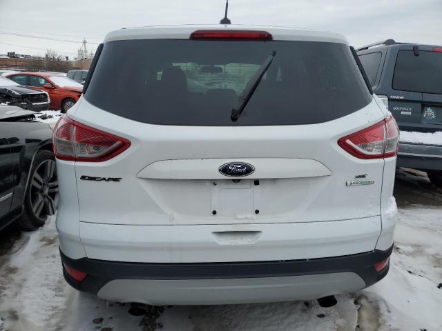 1FMCU0GX1EUE14467 | 2014 FORD ESCAPE SE