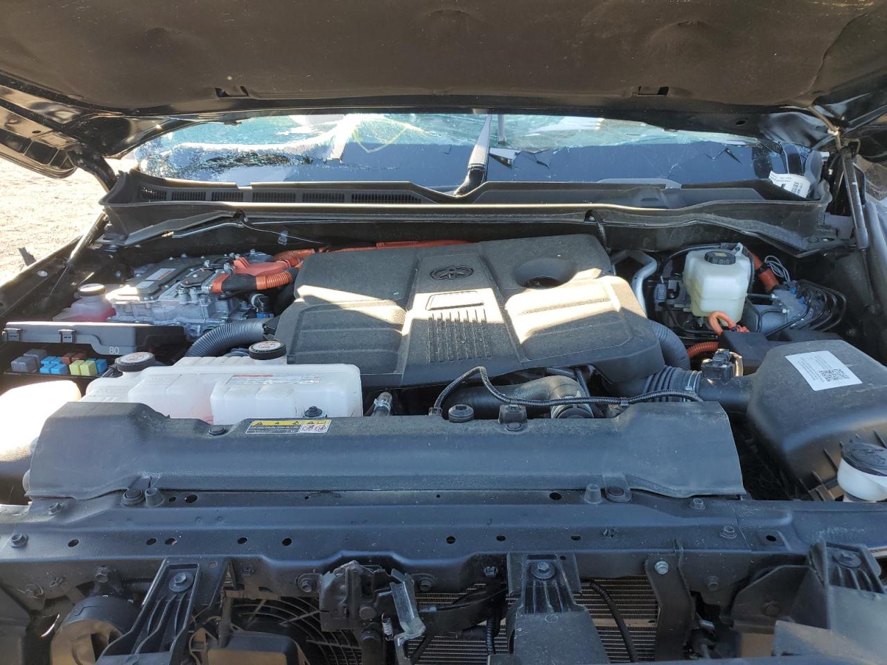VIN: 5TFPC5DB0PX021916 2023 TOYOTA TUNDRA