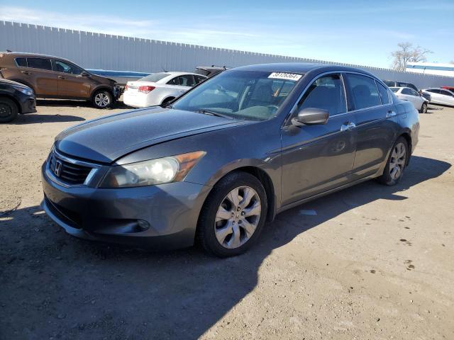 Lot #2506061158 2010 HONDA ACCORD EXL salvage car