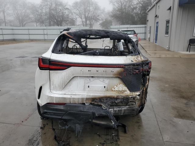 2023 LEXUS NX 250 2T2GDCAZXPC005395