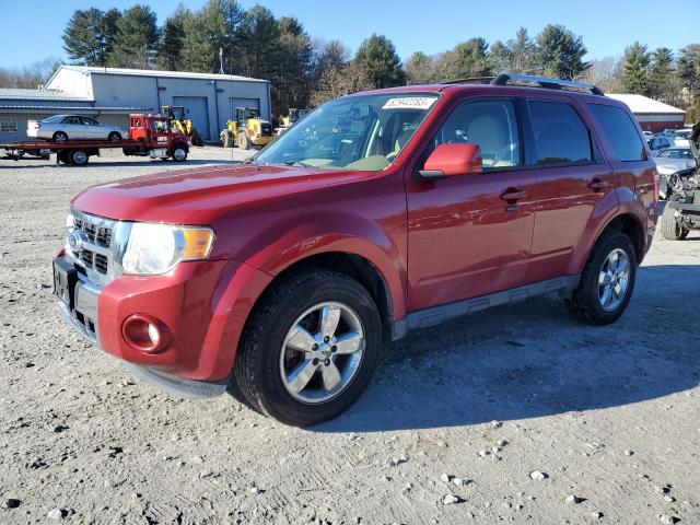 2010 Ford Escape Limited