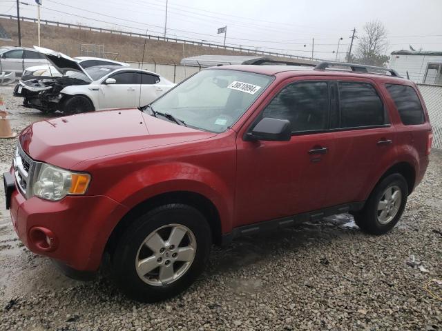 2010 Ford Escape XLT