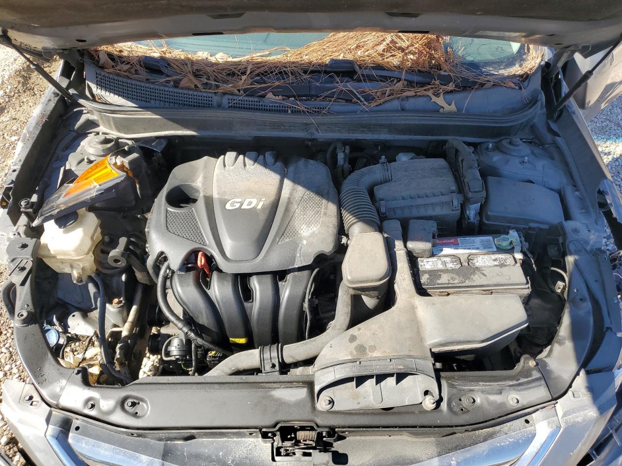 5NPEC4AC4DH797522 2013 Hyundai Sonata Se