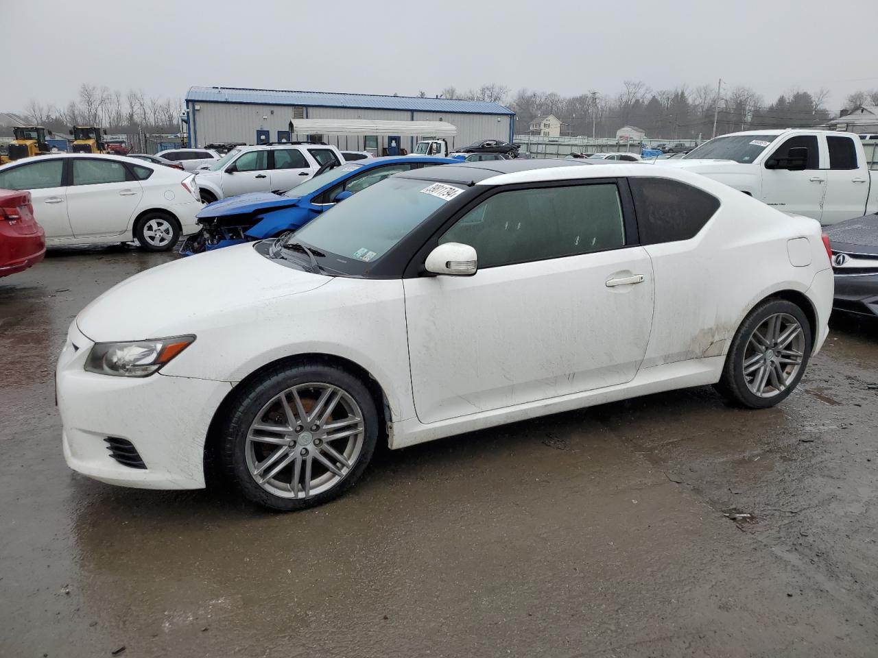 2013 Toyota Scion Tc vin: JTKJF5C70D3051455