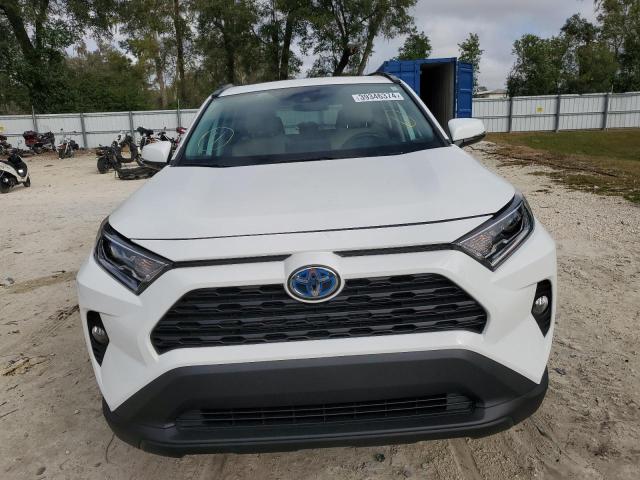 2T3RWRFV5KW040117 | 2019 TOYOTA RAV4 XLE