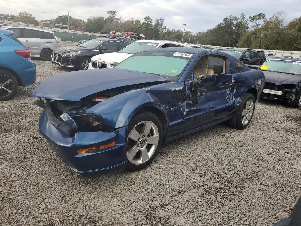 1ZVFT82H365250800 2006 Ford Mustang Gt