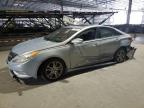 Lot #2325226618 2013 HYUNDAI SONATA SE