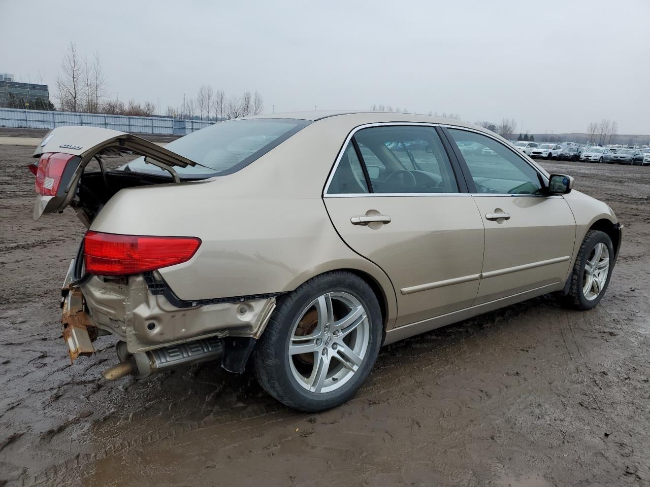 1HGCM56635A807867 2005 Honda Accord Ex