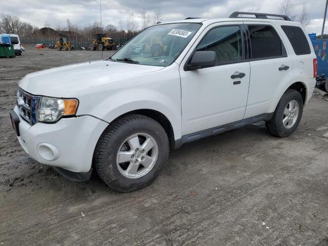 2010 Ford Escape XLT