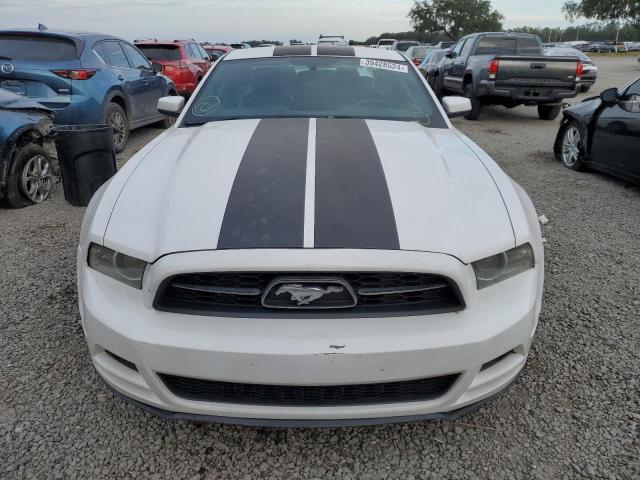 1ZVBP8AM5E5303447 | 2014 FORD MUSTANG