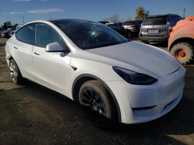 7SAYGDEE8PA038775 | 2023 TESLA MODEL Y