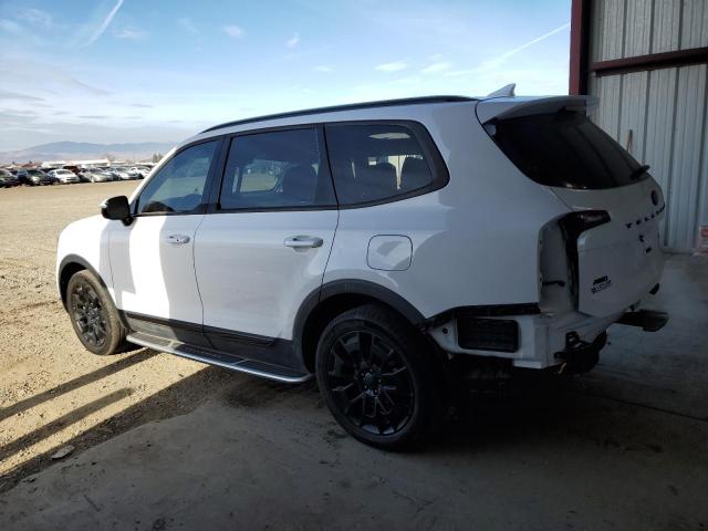 2021 Kia Telluride Sx VIN: 5XYP5DHC2MG124003 Lot: 81094203