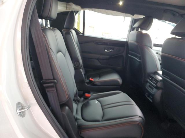 2024 HONDA PILOT TRAI 5FNYG1H66RB005232