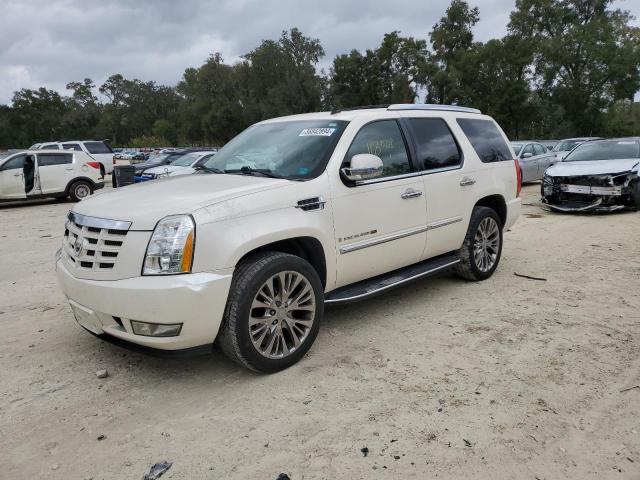 2009 Cadillac Escalade Sport