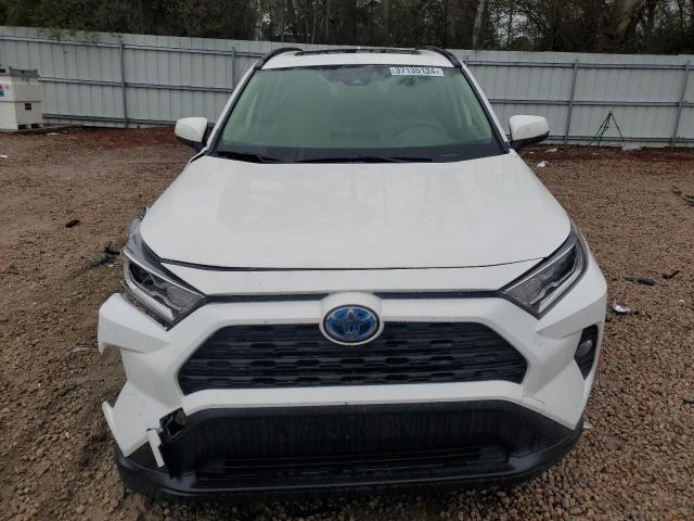 JTMRWRFV5KD028188 | 2019 TOYOTA RAV4 XLE