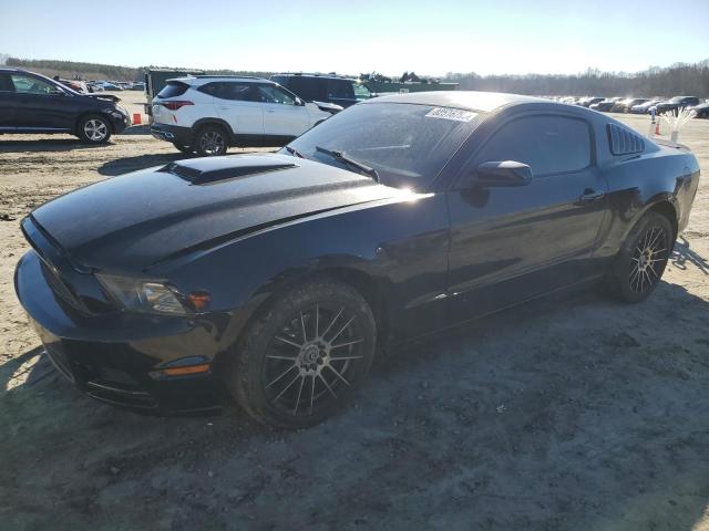 2013 Ford Mustang 