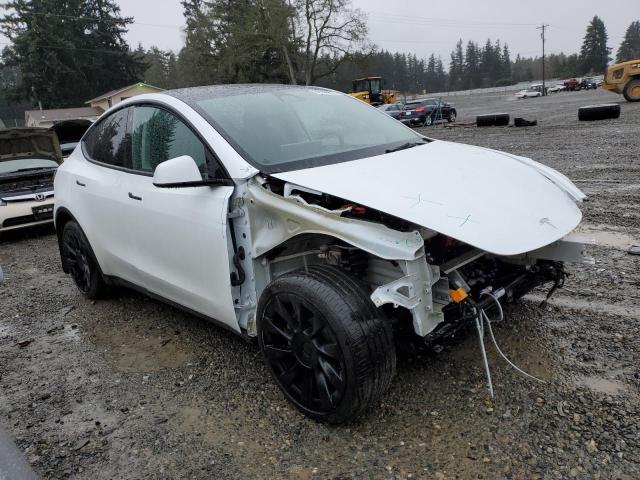 7SAYGDEEXPA117302 | 2023 Tesla model y