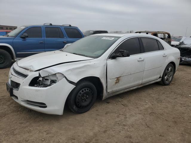 Lot #2492201450 2009 CHEVROLET MALIBU 1LT salvage car