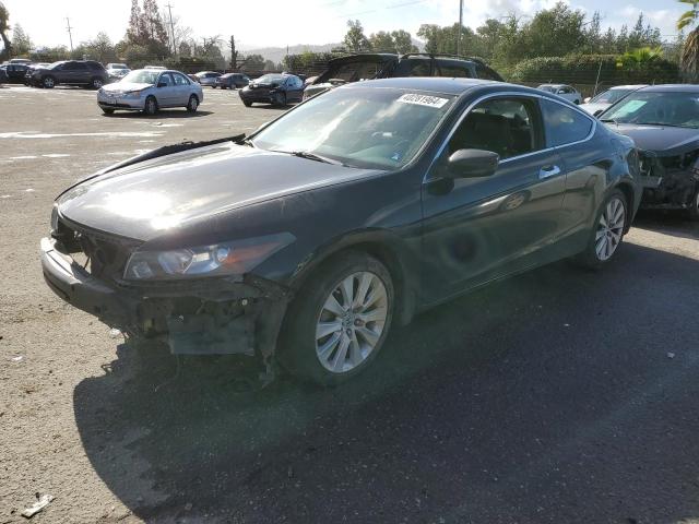 2010 Honda Accord Coupe EX-L