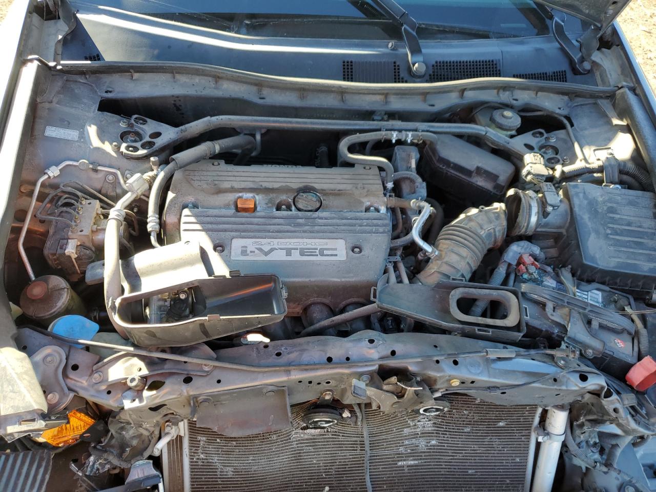 JHMCP26858C017029 2008 Honda Accord Exl