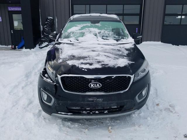 2017 Kia Sorento Ex VIN: 5XYPHDA59HG213916 Lot: 48906444