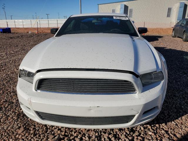 1ZVBP8AM7E5254915 | 2014 FORD MUSTANG