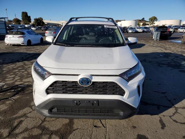 4T3MWRFV9LU008976 | 2020 TOYOTA RAV4 LE