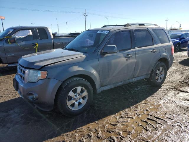 2010 Ford Escape Limited