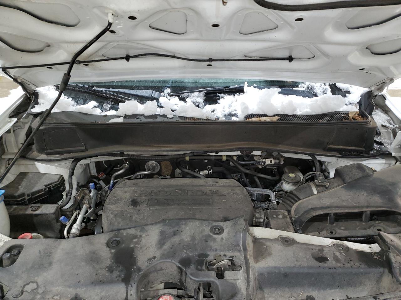 5fnyf4h5xeb504931 5FNYF4H5XEB504931 2014 Honda Pilot Exl