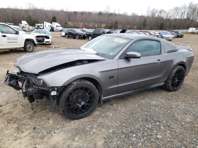 Lot #2407035212 2010 FORD MUSTANG GT salvage car