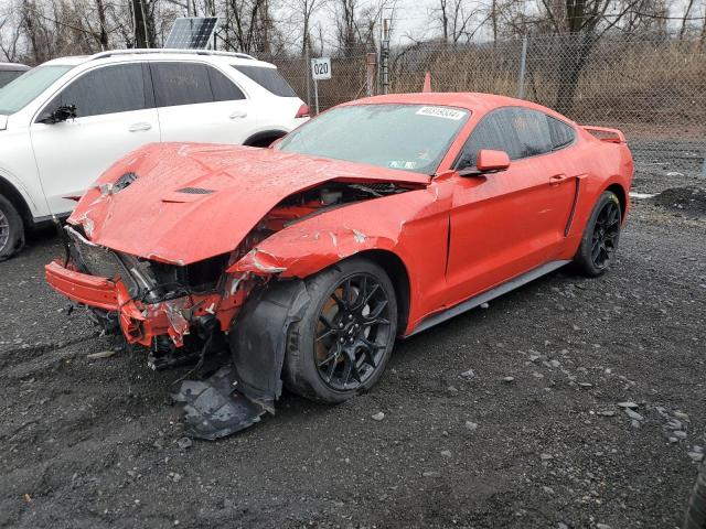 2019 Ford Mustang  (VIN: 1FA6P8TH4K5196963)