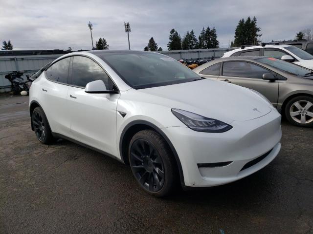 7SAYGDEE7PF591632 | 2023 TESLA MODEL Y