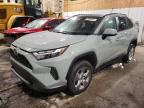 2023 TOYOTA RAV4 XLE - 2T3P1RFV8PW374588